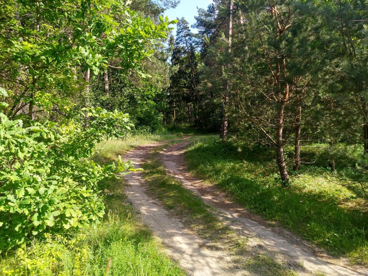 Domki Letniskowe Szczycionek Szczytno  Bagian luar foto