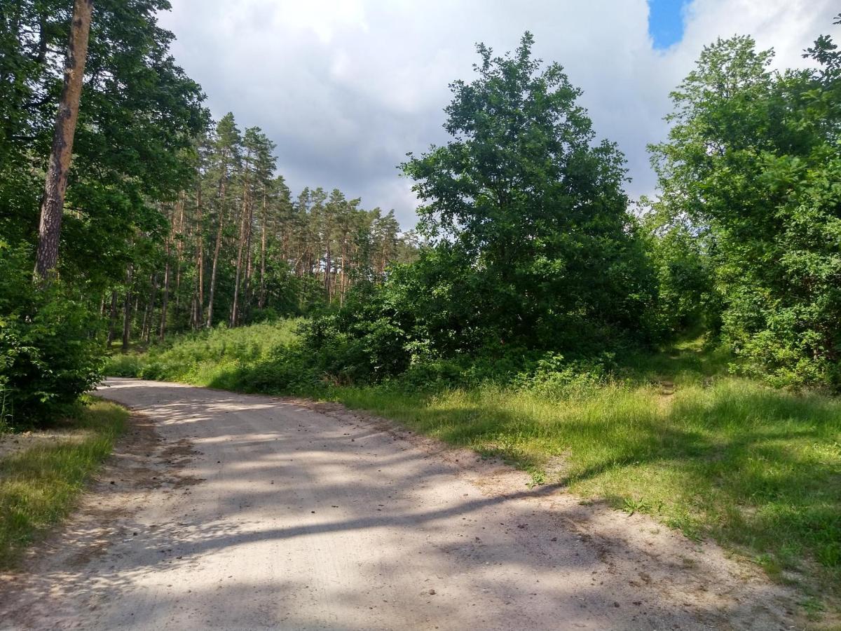 Domki Letniskowe Szczycionek Szczytno  Bagian luar foto