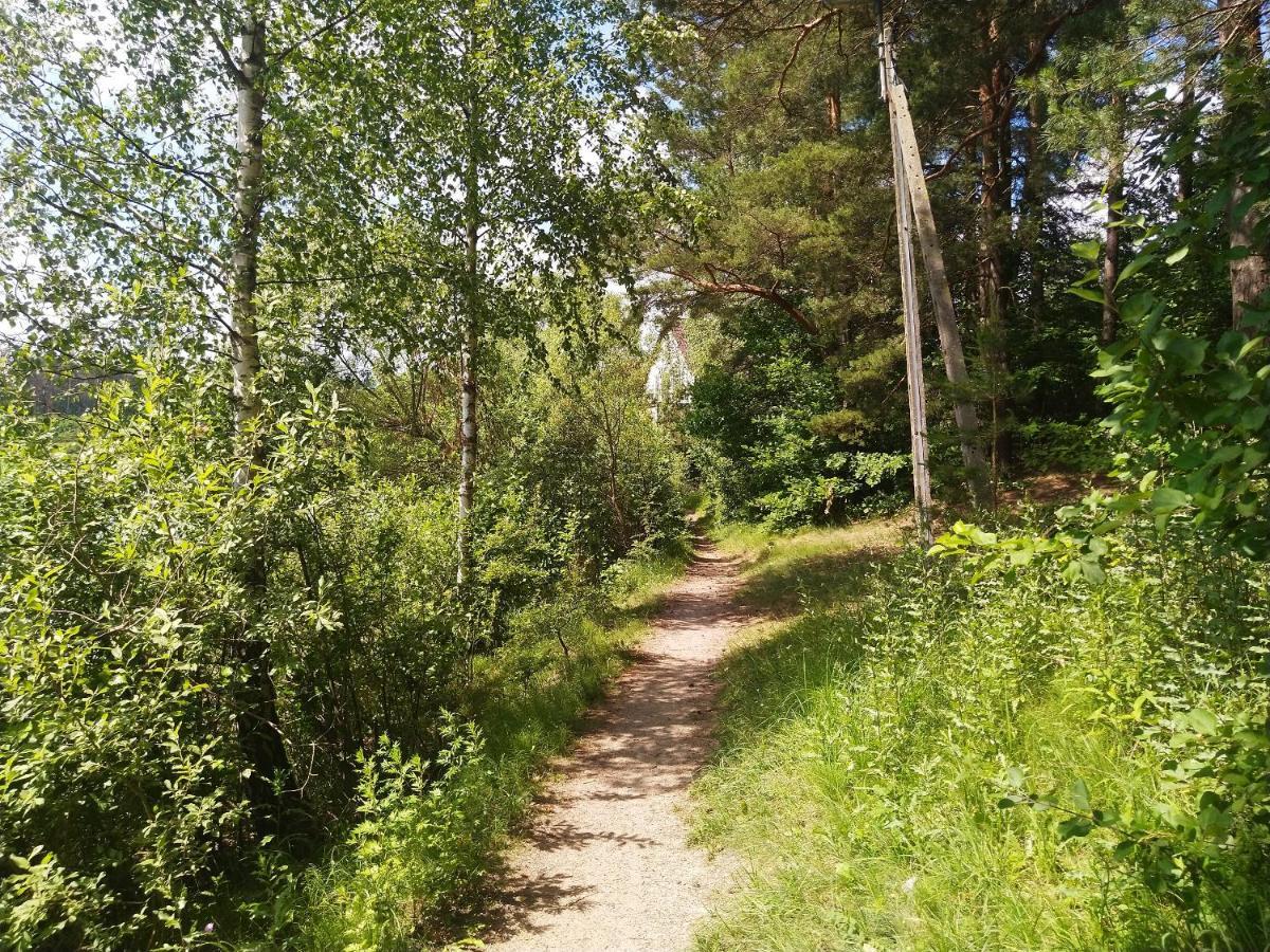 Domki Letniskowe Szczycionek Szczytno  Bagian luar foto